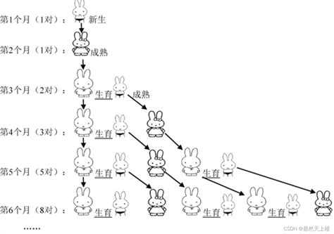 兔子問題|兔子问题(斐波那契数列)